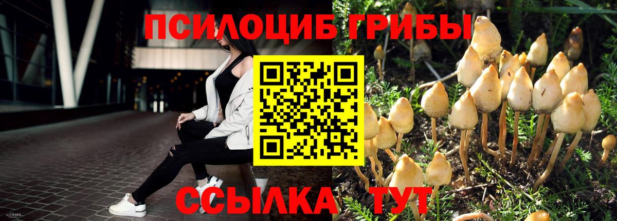 наркошоп  Галлюциногенные грибы Magic Shrooms  Котлас  Вход с VPN  Псилоцибиновые грибы Psilocybine cubensis 